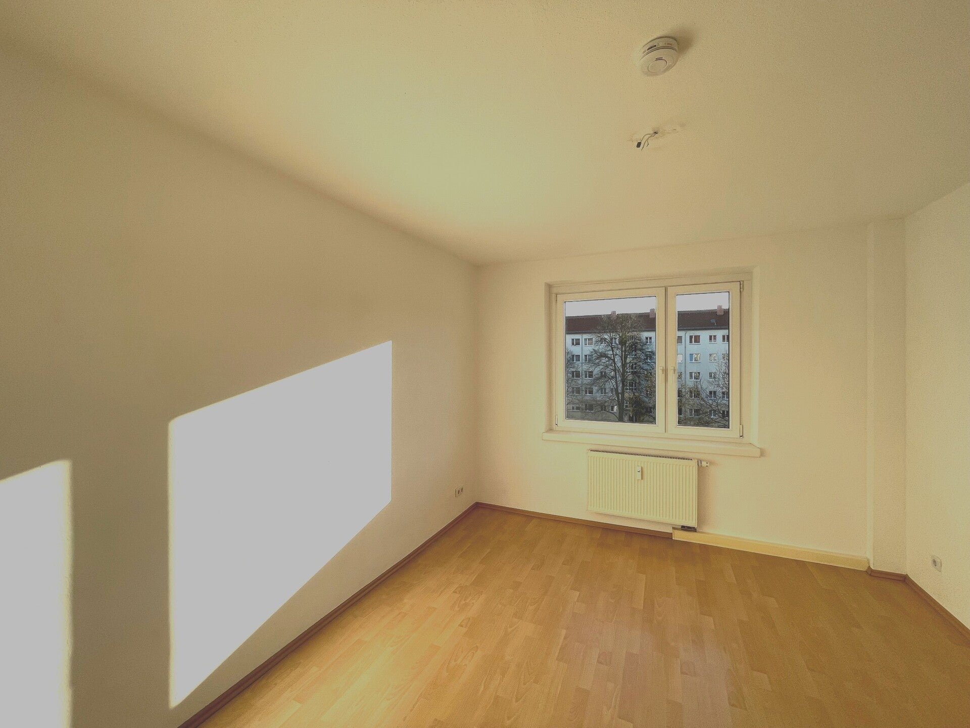 Wohnung Wilischstraße in Dresden