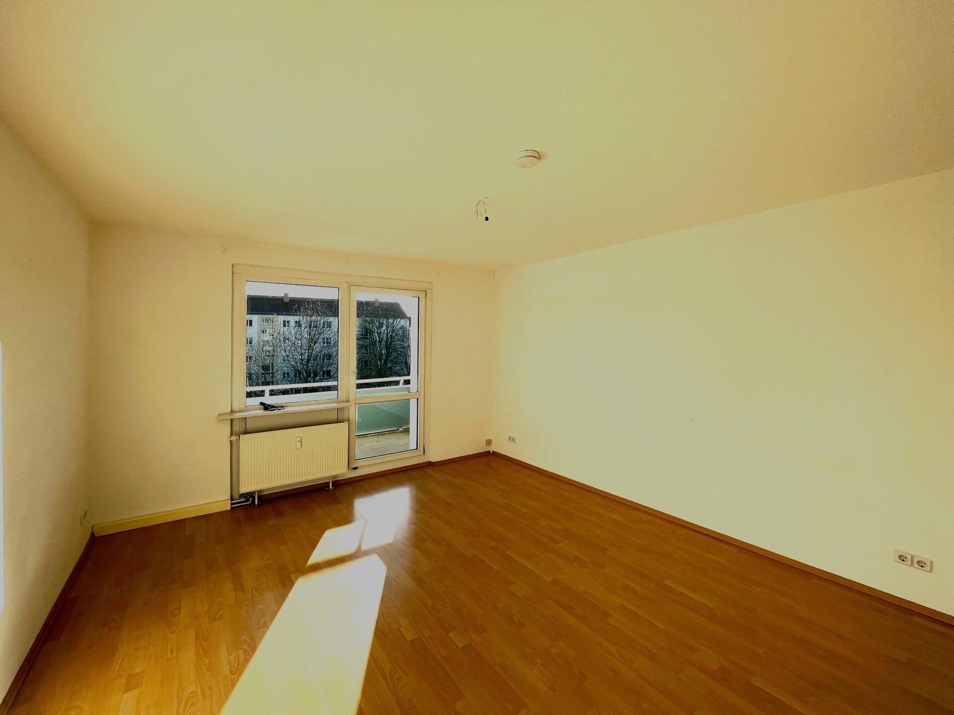 Wohnung Wilischstraße in Dresden