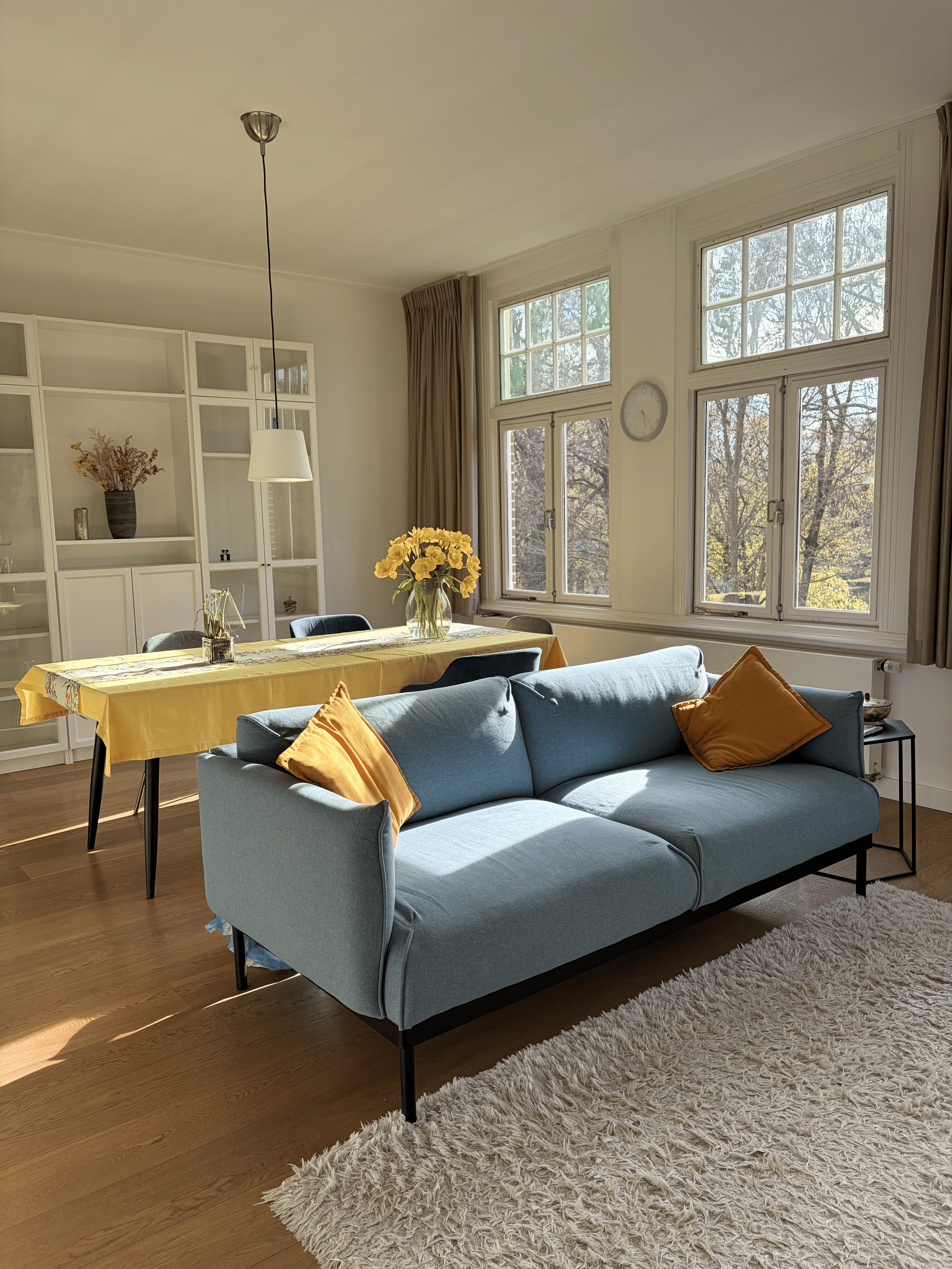 Appartement Koningslaan in Utrecht