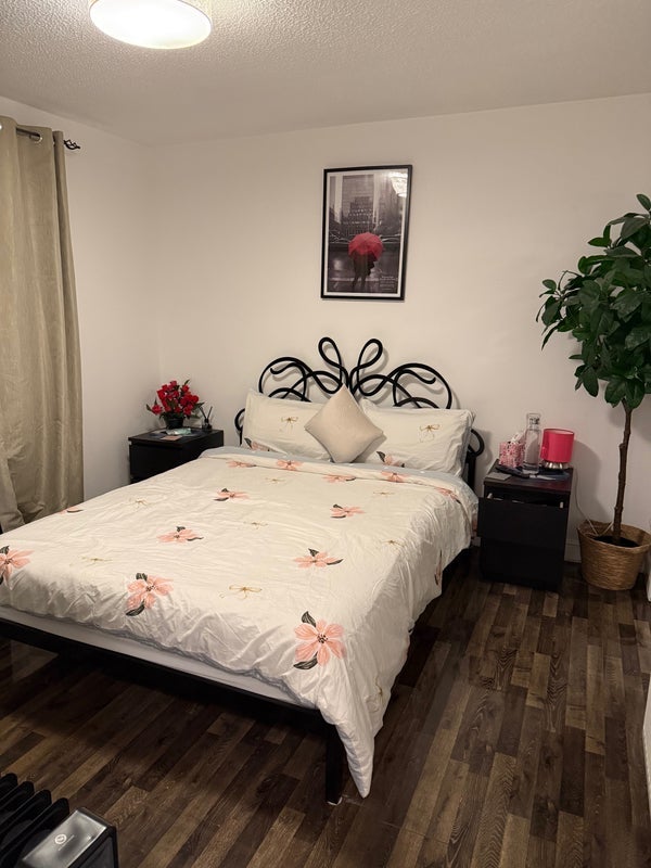 Room Errol Gardens in Glasgow