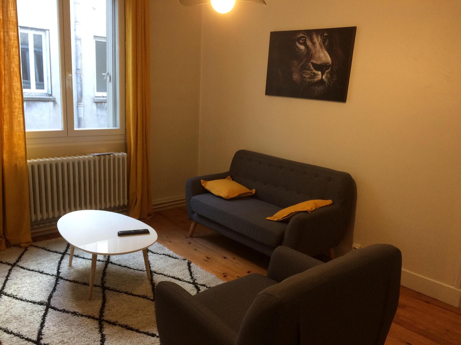 Appartement Rue Aristide Briand et de la Paix à Saint-Étienne