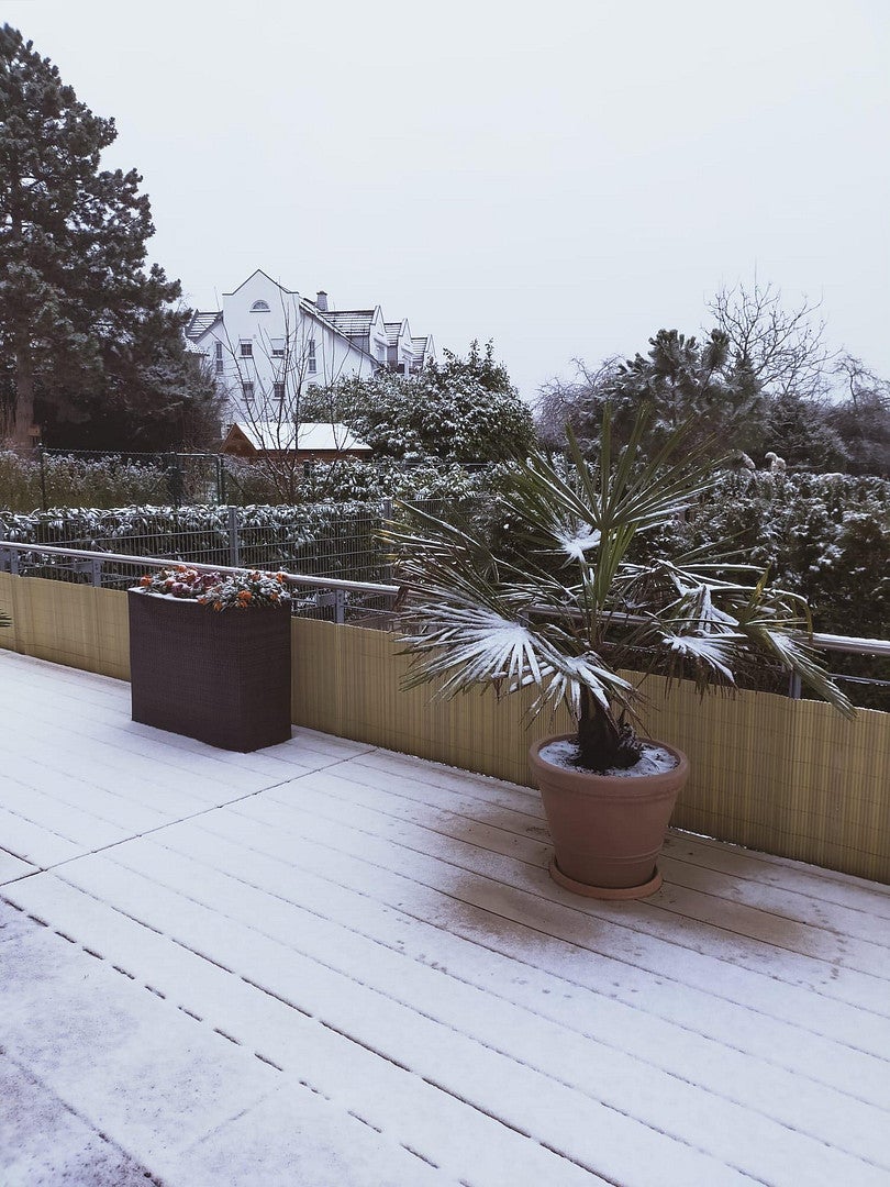 Wohnung Felsenstraße in Wiesbaden