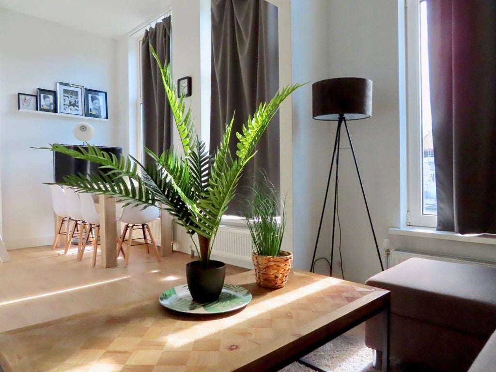 Appartement te huur in Den Haag – Westerbaenstraat – foto 1