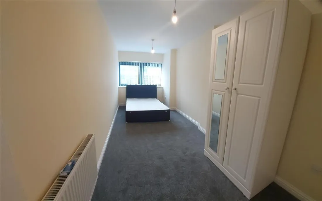 Flat Picton Lane in Swansea