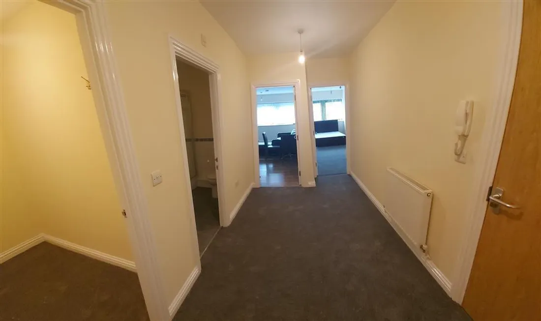 Flat Picton Lane in Swansea