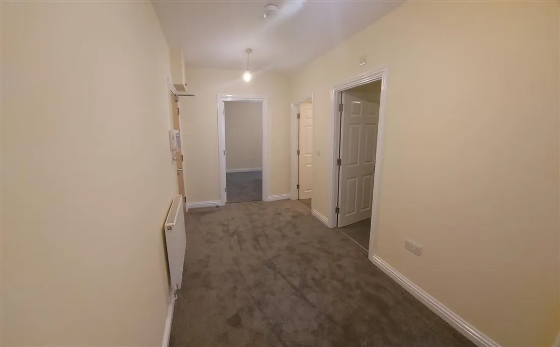 Flat Picton Lane in Swansea