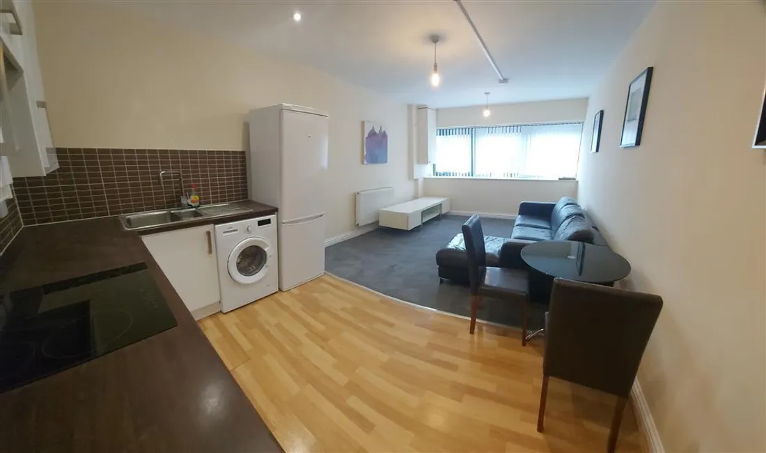 Flat Picton Lane in Swansea