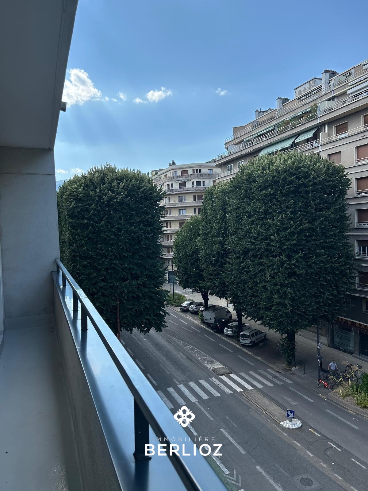 Flat Place Paul Mistral in Grenoble