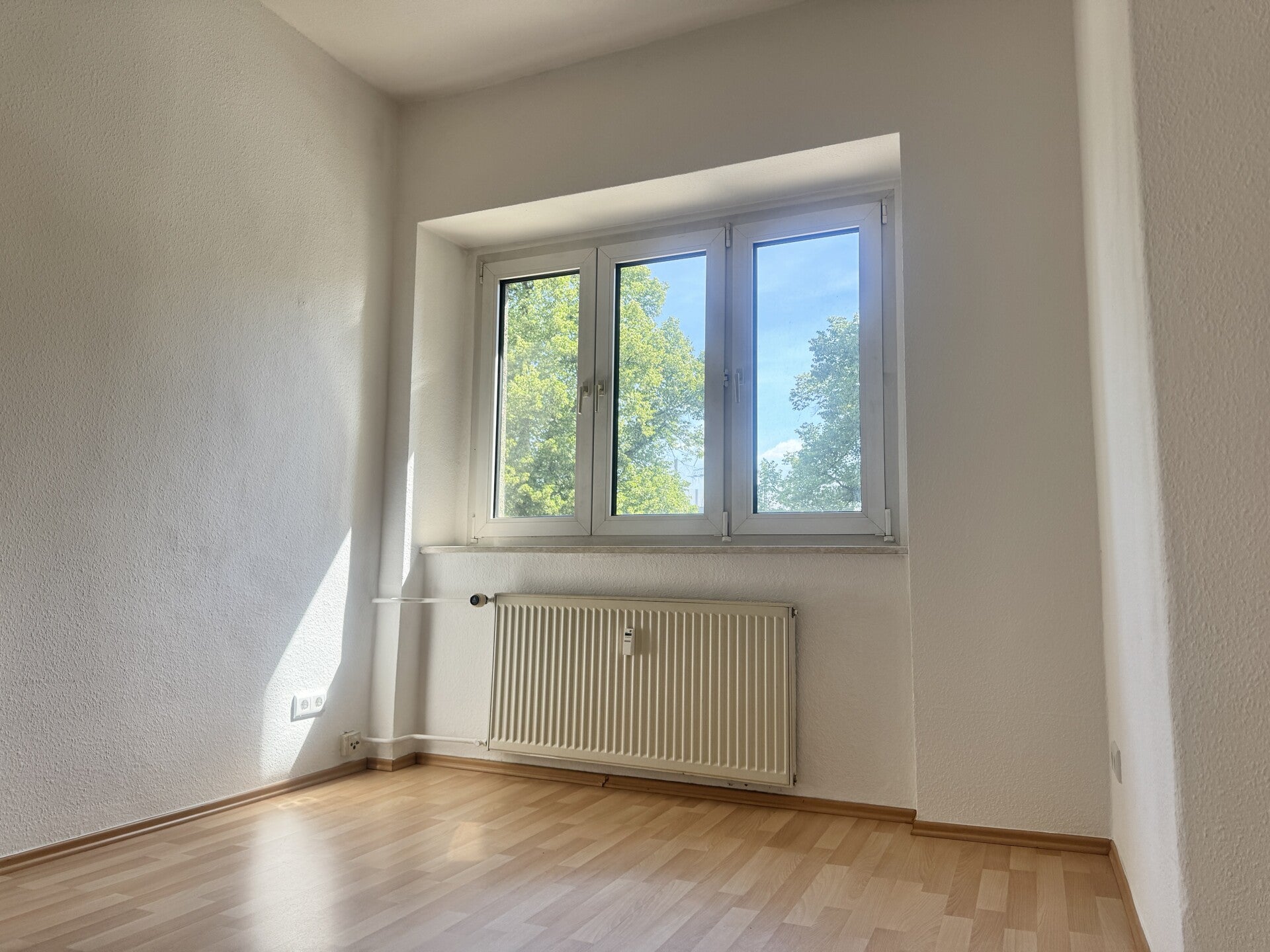 Wohnung Kesselsdorfer Straße in Dresden