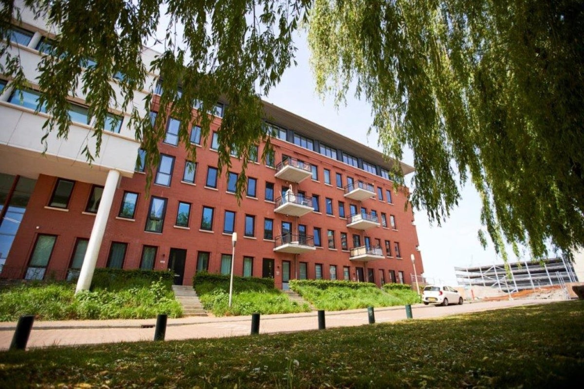 A rental house advertisment