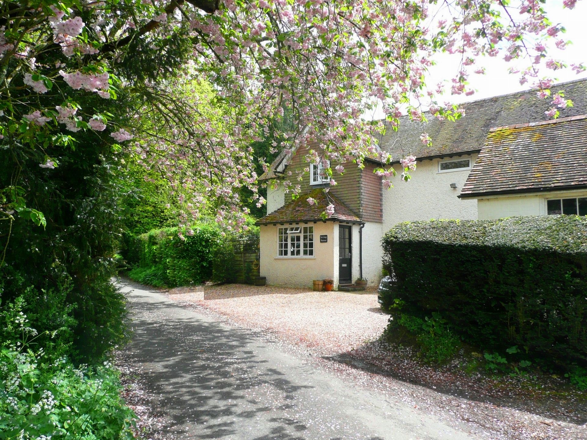 House Lippen Lane in Winchester