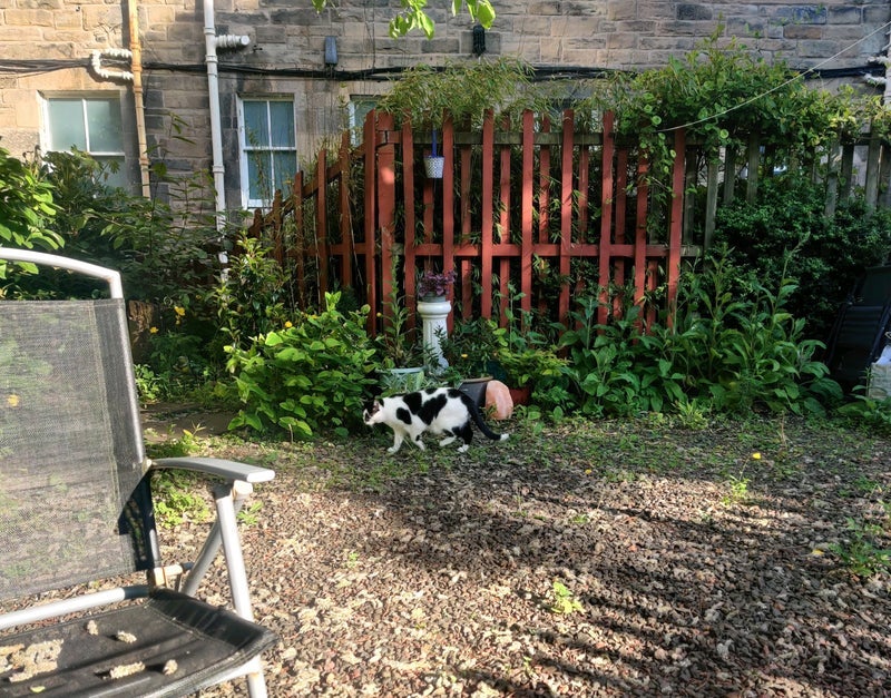 Room Watson Crescent in City of Edinburgh