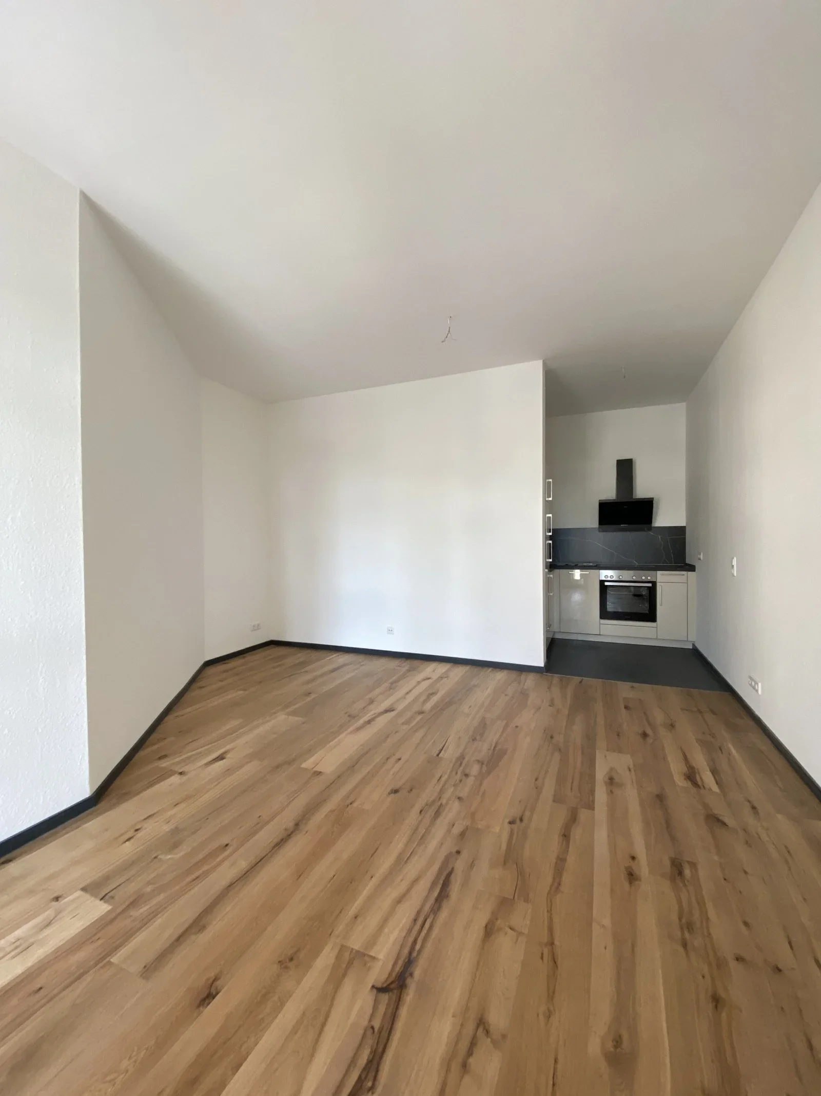 Wohnung Lassallestraße in Zwickau
