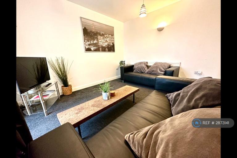 Room Borough Road in Middlesbrough