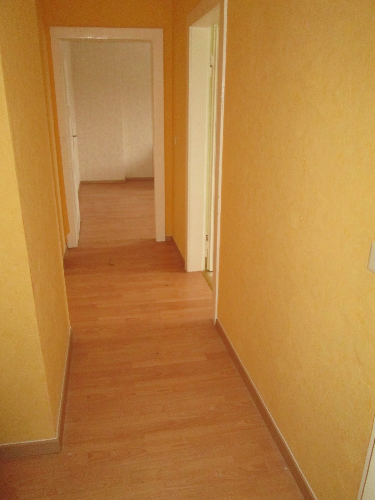 Haus Rodekamp in Salzgitter