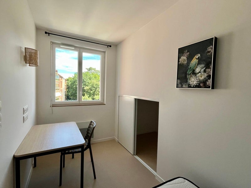 Room Rue de Ciron in Albi