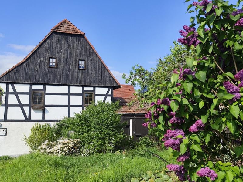 Wohnung Zur Hohle in Dresden