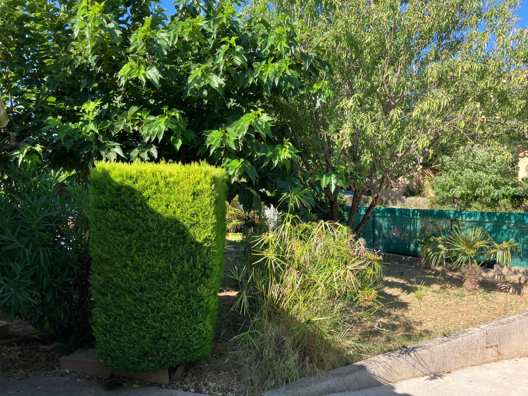 House Boulevard Docteur Ferroul in Narbonne