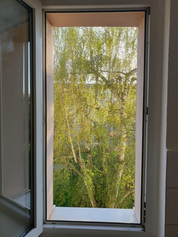 Wohnung Häuerstraße in Braunsbedra
