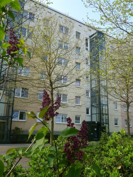 Wohnung Schochplan in Dessau