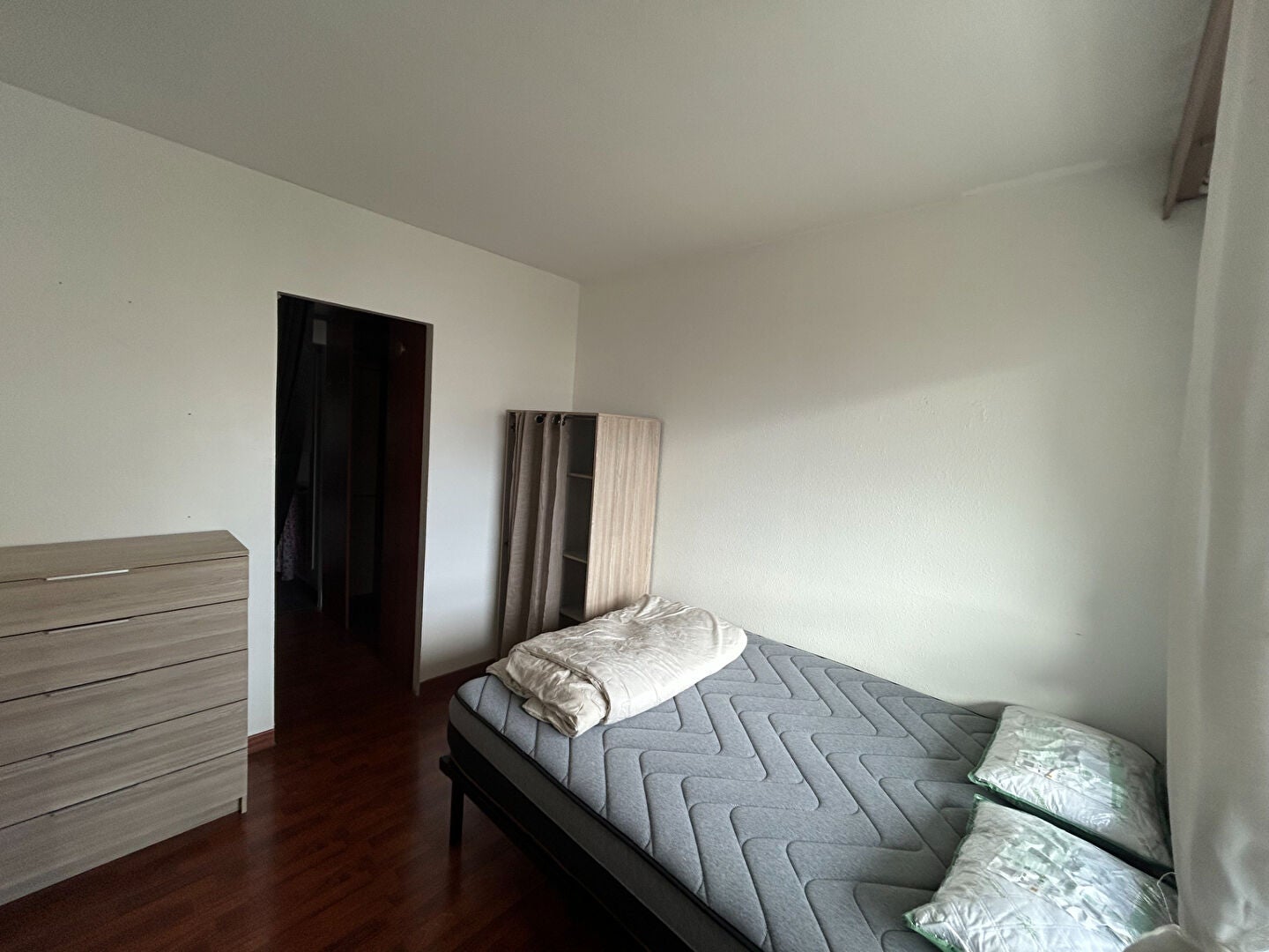Flat Cours Émile Zola in Villeurbanne