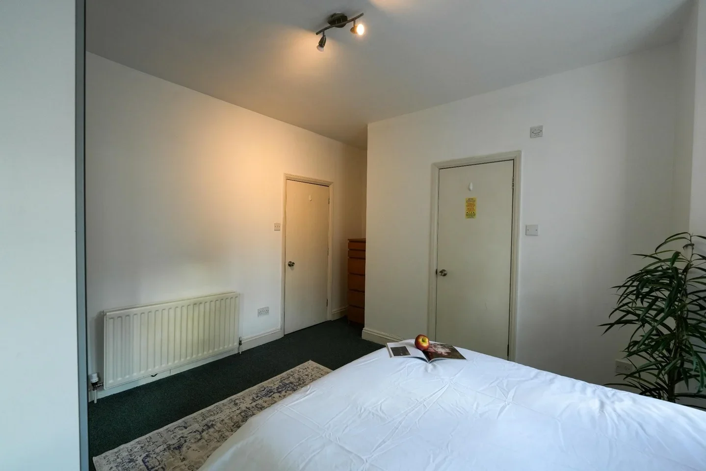 Room Bush Road in Greater London