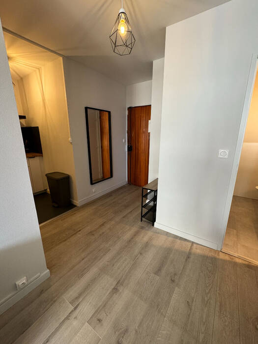 Appartement Cours Émile Zola à Villeurbanne