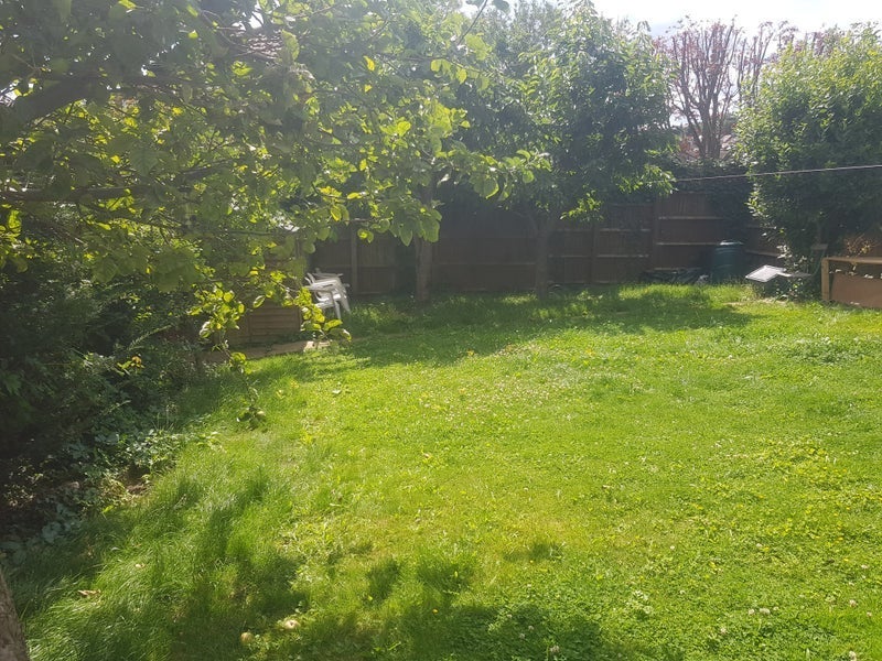 Room Muswell Hill in Greater London