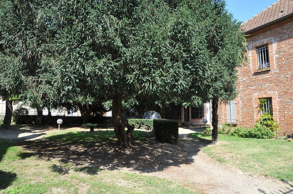 Appartement Place du Château à Saint-Nicolas-de-la-Grave