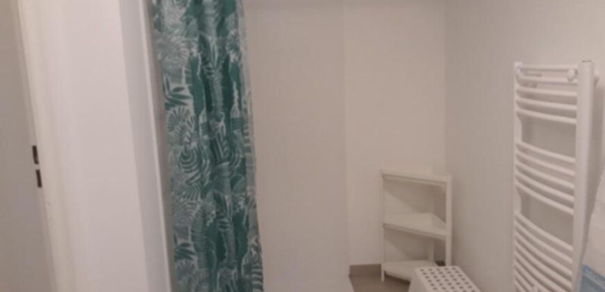 Appartement Rue Émile Reymond à Saint-Étienne