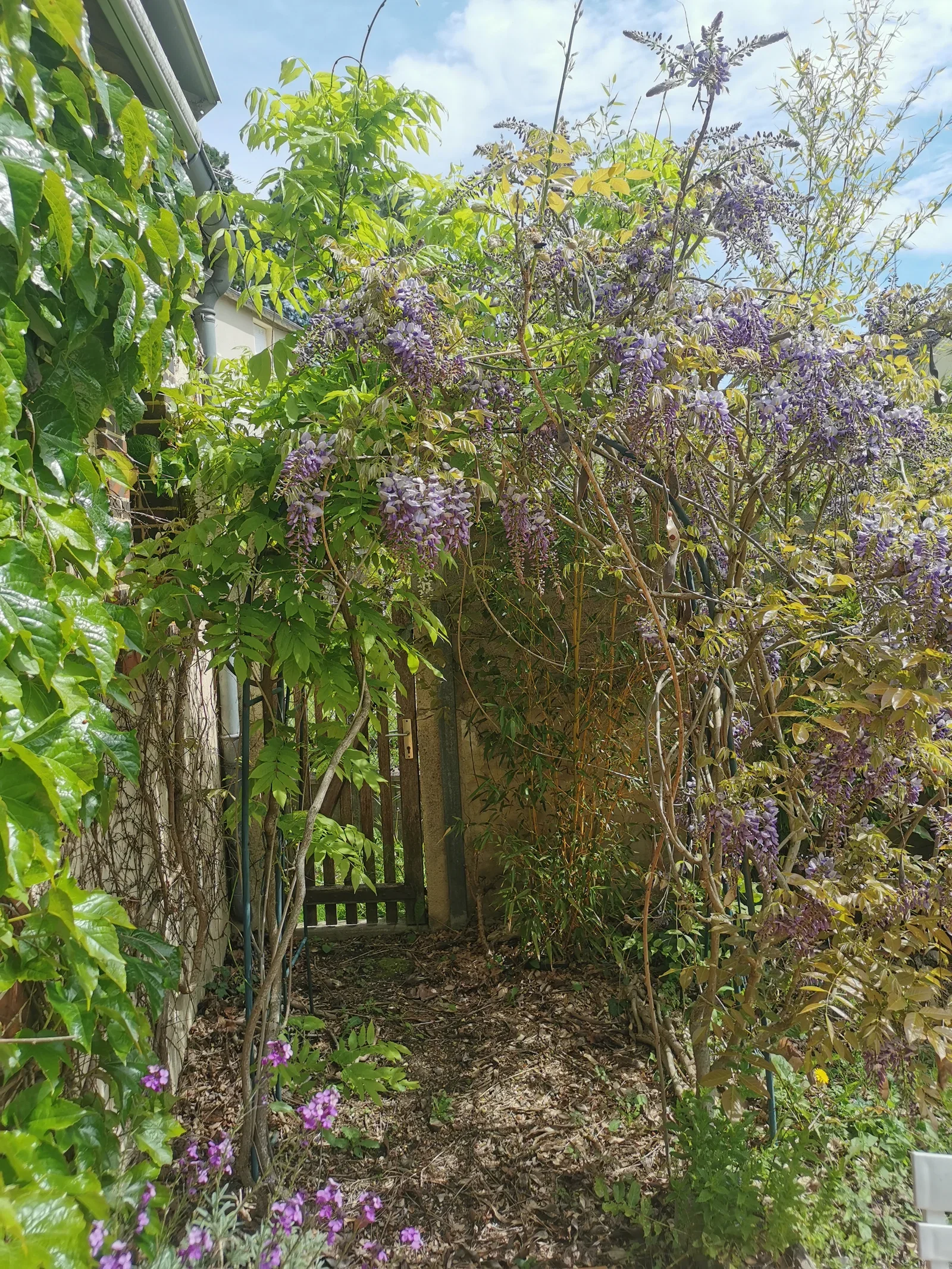 Chambre Rue Fortuné Fardouët à Sablons sur Huisne