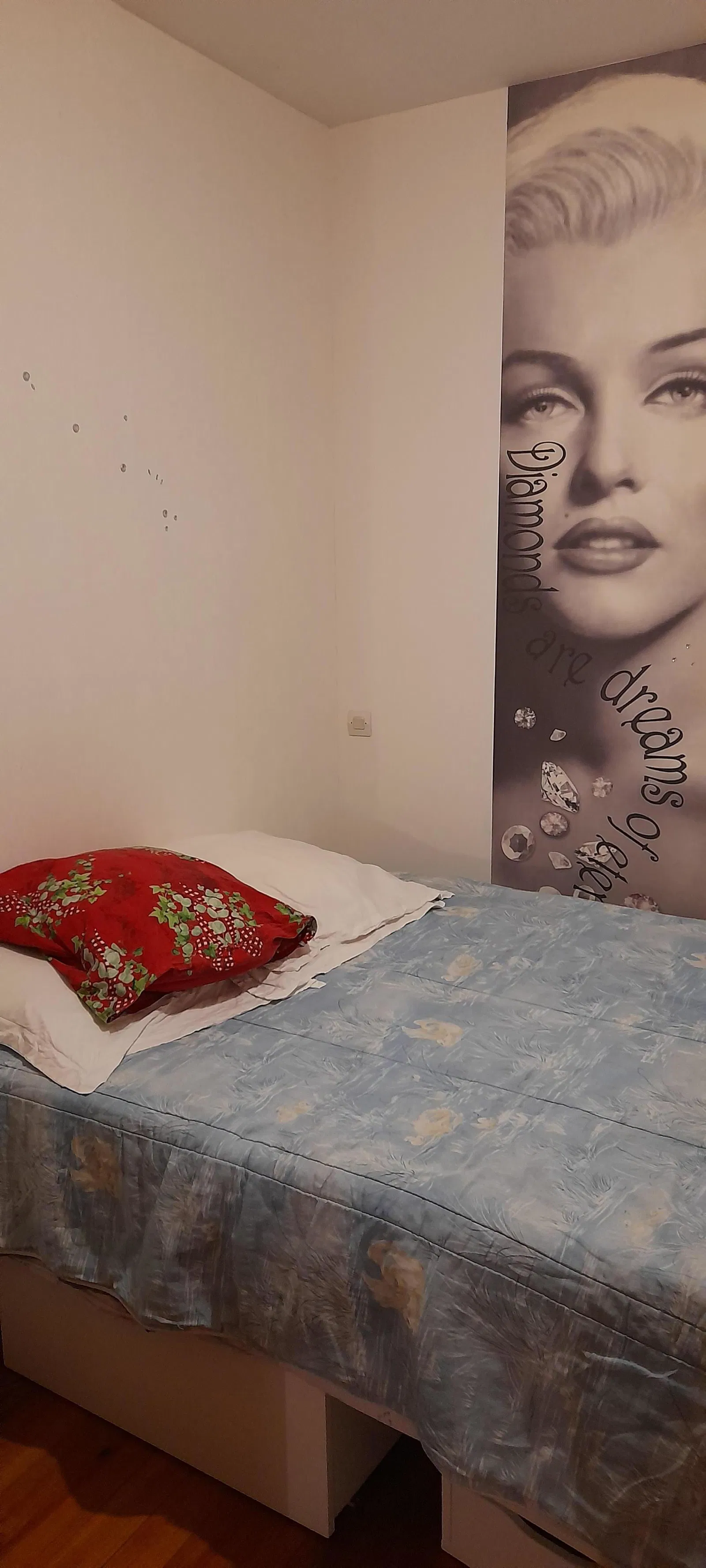 Chambre Route de Strasbourg à Rillieux-la-Pape