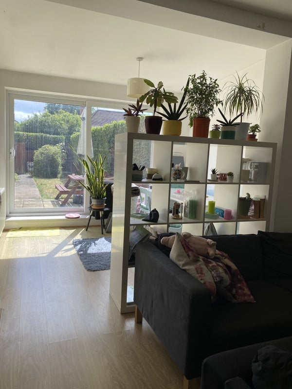 Room Orchid Street in Greater London