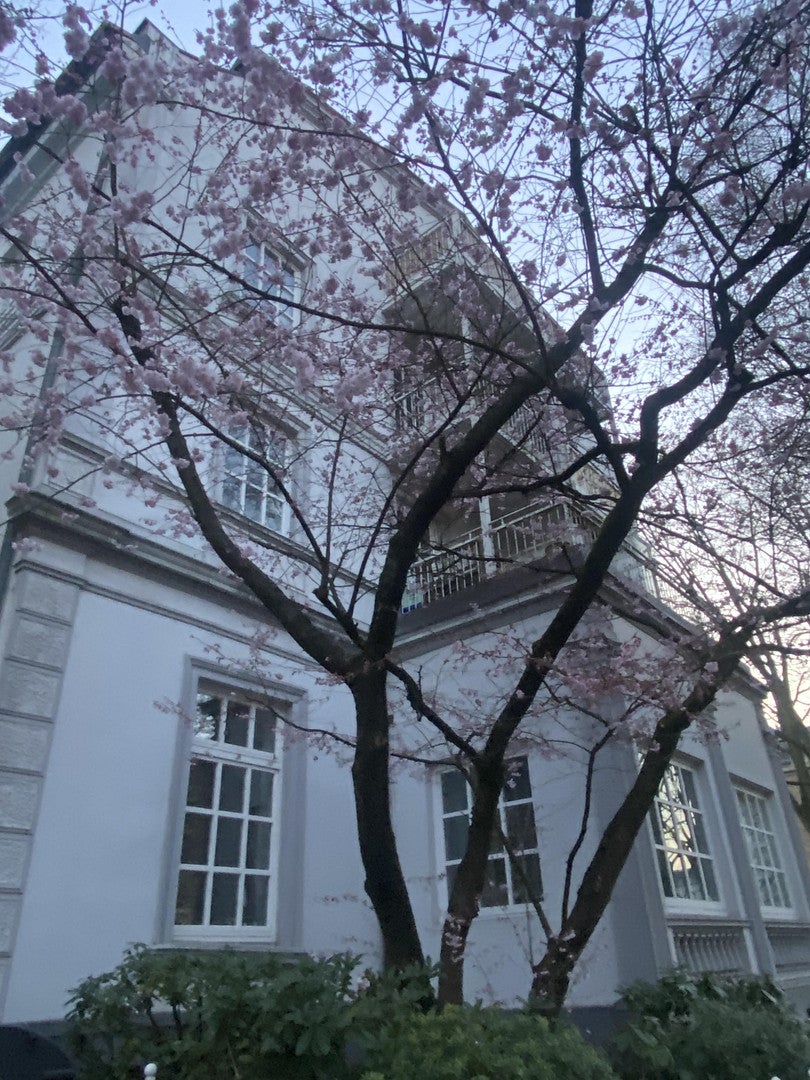 Wohnung Wiesenstraße in Hamburg