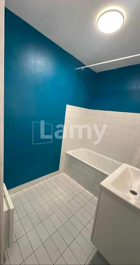Appartement Rue du Professeur Paul Sisley à Lyon