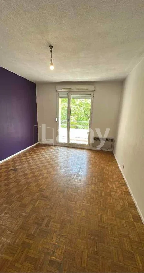 Appartement Rue du Professeur Paul Sisley à Lyon