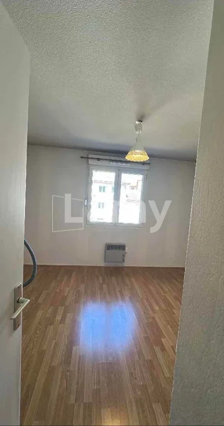 Appartement Rue du Professeur Paul Sisley à Lyon