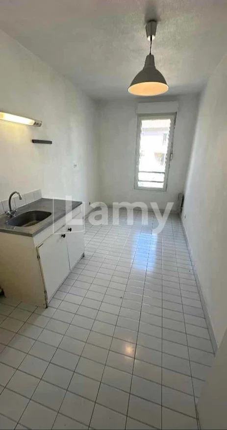 Appartement Rue du Professeur Paul Sisley à Lyon