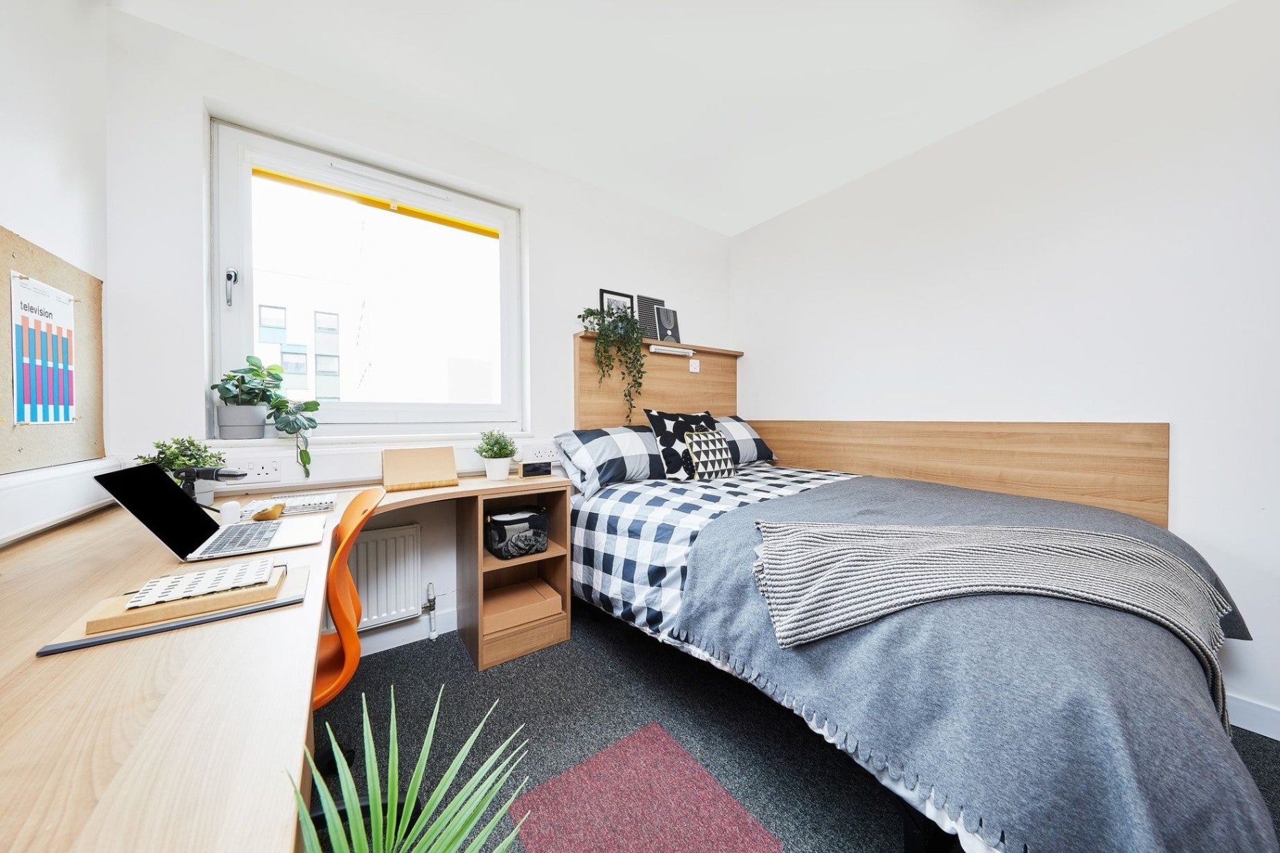 Room Capon Road in Colchester