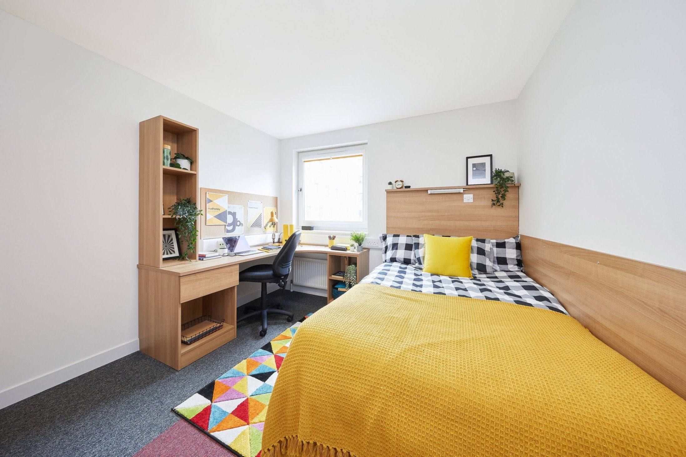 Room Capon Road in Colchester