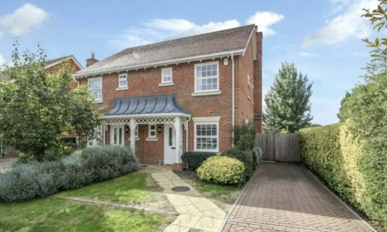 House Finches Close in Winchester