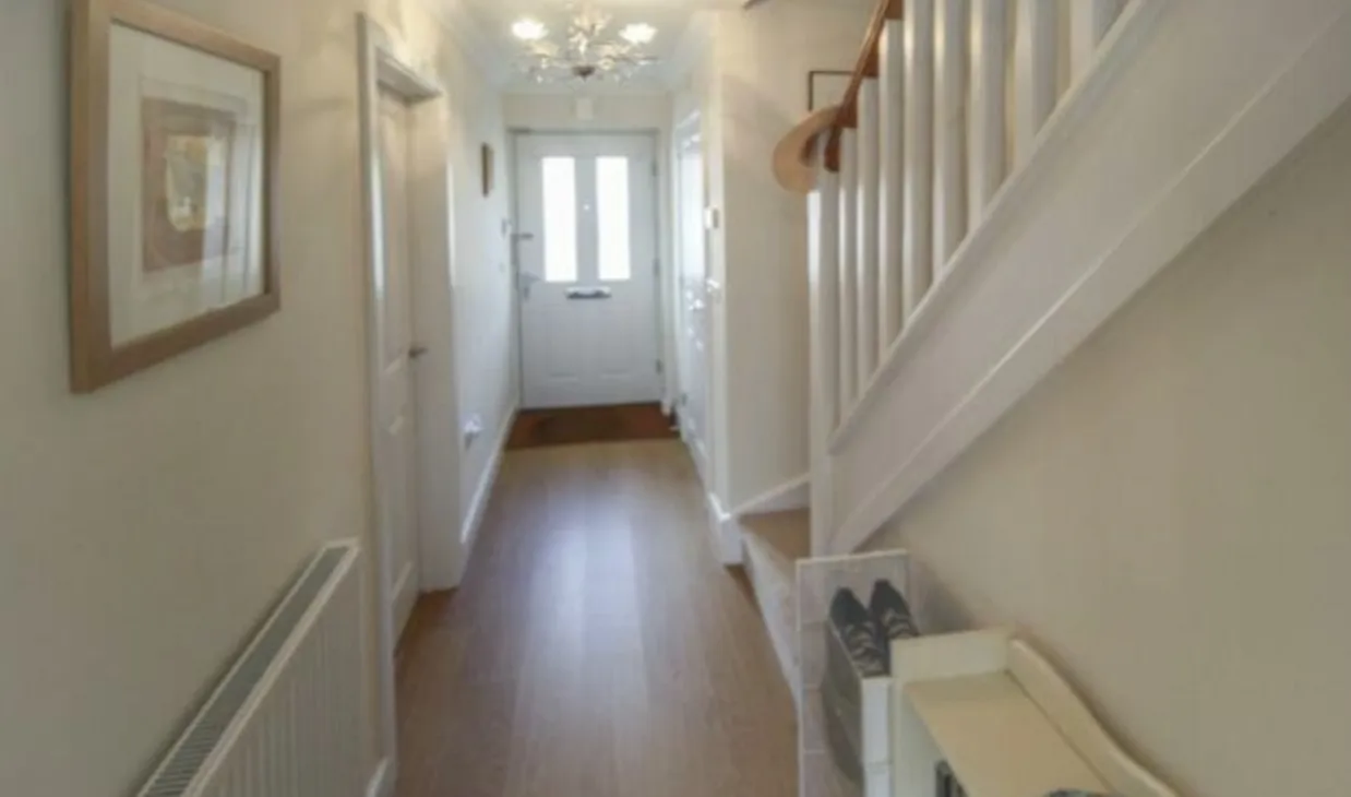 House Finches Close in Winchester