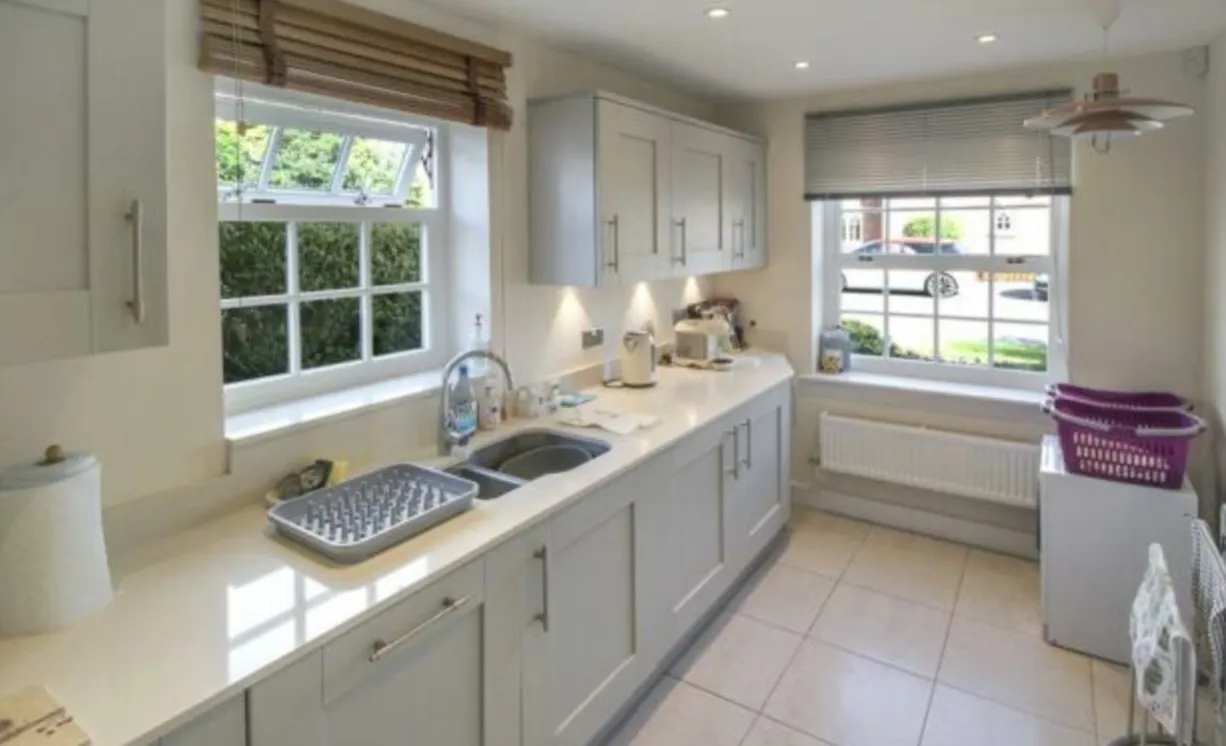 House Finches Close in Winchester