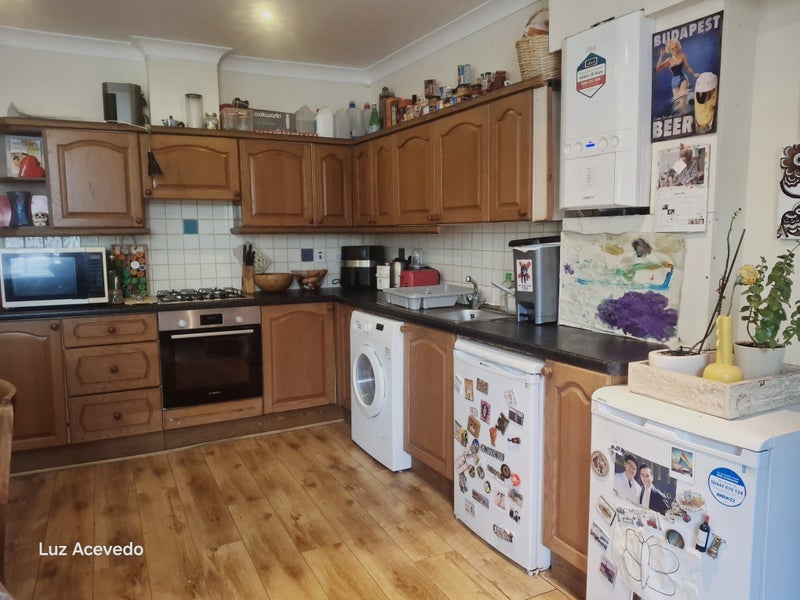 Flat Rye Lane in Greater London