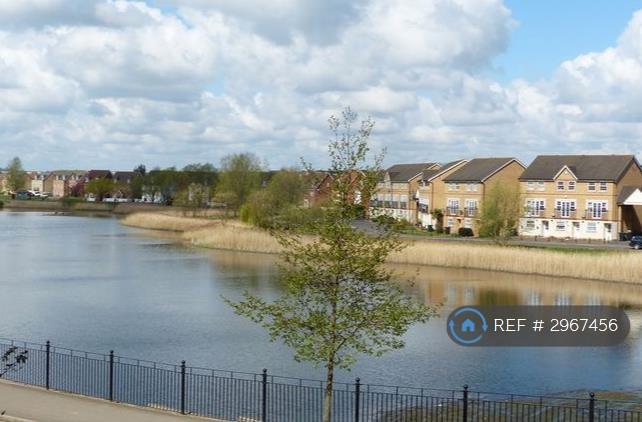 Flat Teasel Way in Peterborough