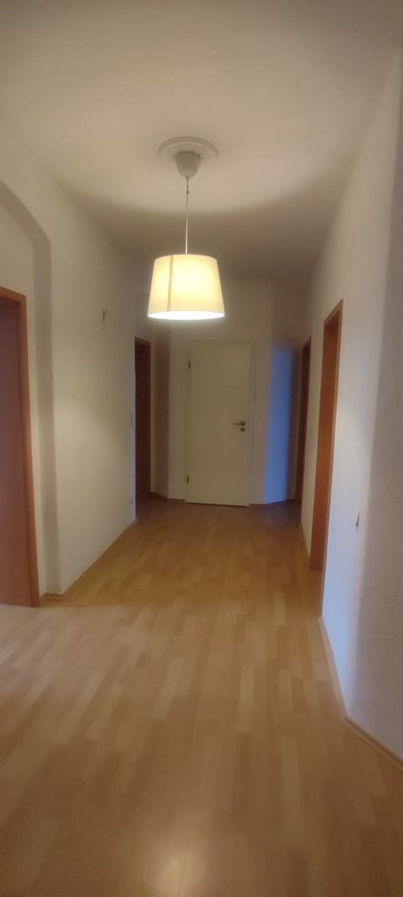 Wohnung Aachener Straße in Dresden