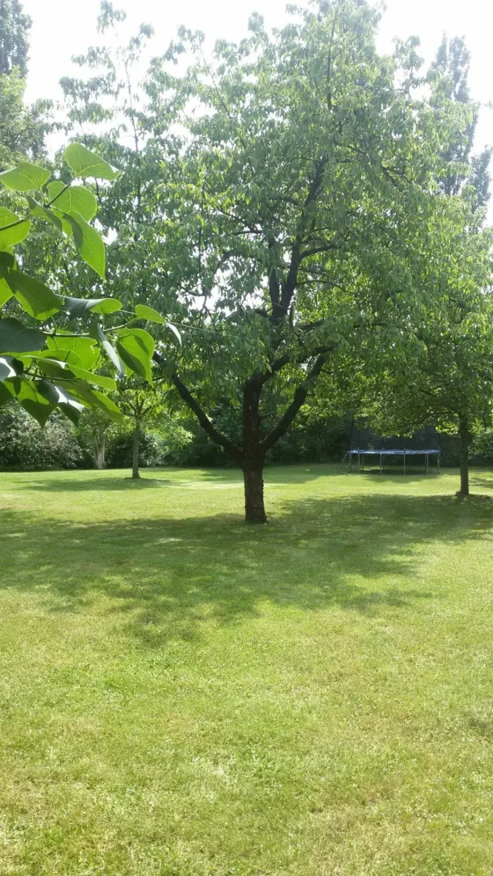 Wohnung Altkötzschenbroda in Radebeul