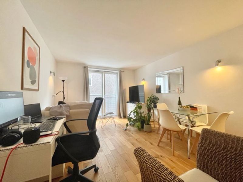 Flat Plumbers Row in Greater London