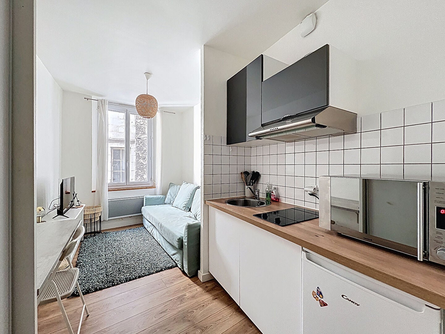 Flat Quai Monge in Angers