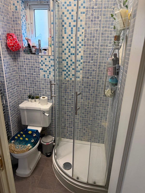 Room Meadow Place in Greater London